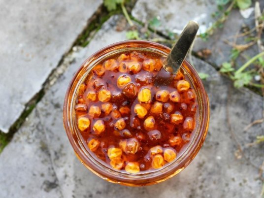 Rakytník řešetlákový – posiluje obranyschopnost i odolnost vůči stresu