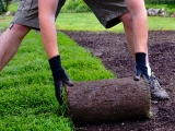 Jak vybrat a položit travní koberec