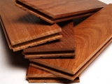 Podlahy z exotických dřevin  - jaké dřeviny máme na výběr?